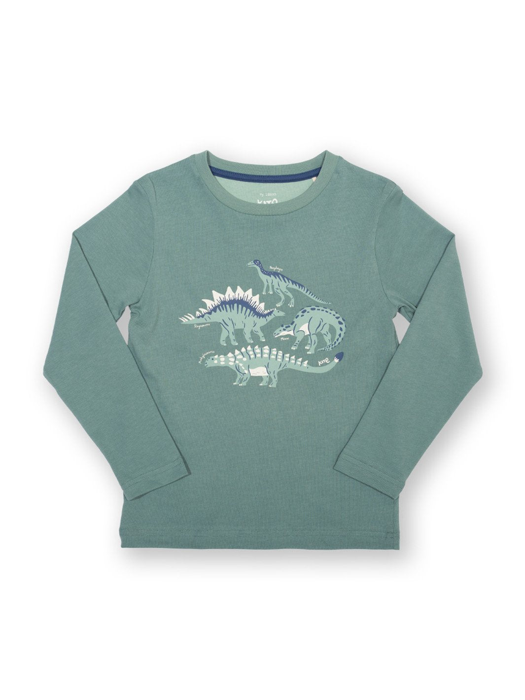 Polera manga larga color verde abeto con estampado de dinosaurios amigables como Panphagia, Ankylosaurus, Stegosaurus y Minmi. Diseño divertido y educativo en algodón orgánico.