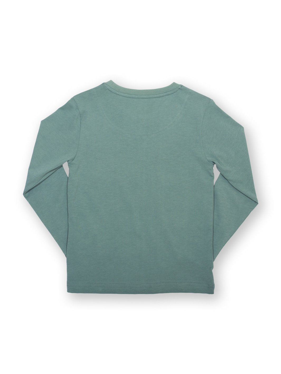 Espalda de la polera verde abeto sin estampado, con acabado liso en algodón orgánico certificado.