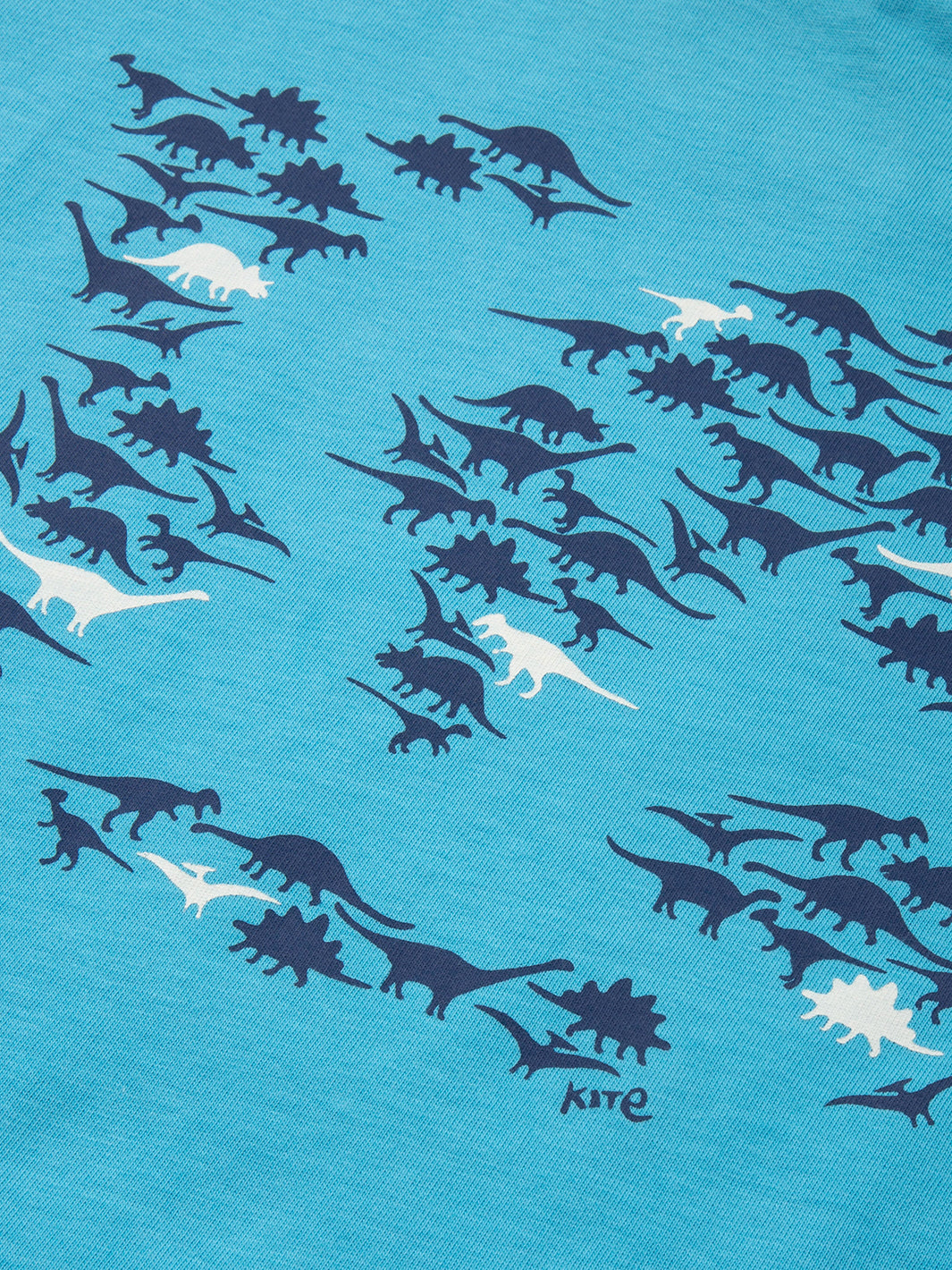 Detalle del estampado de dinosaurios en los continentes de la Polera Mundo Dinosaurio.
