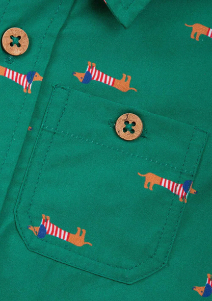 Camisa perro salchicha