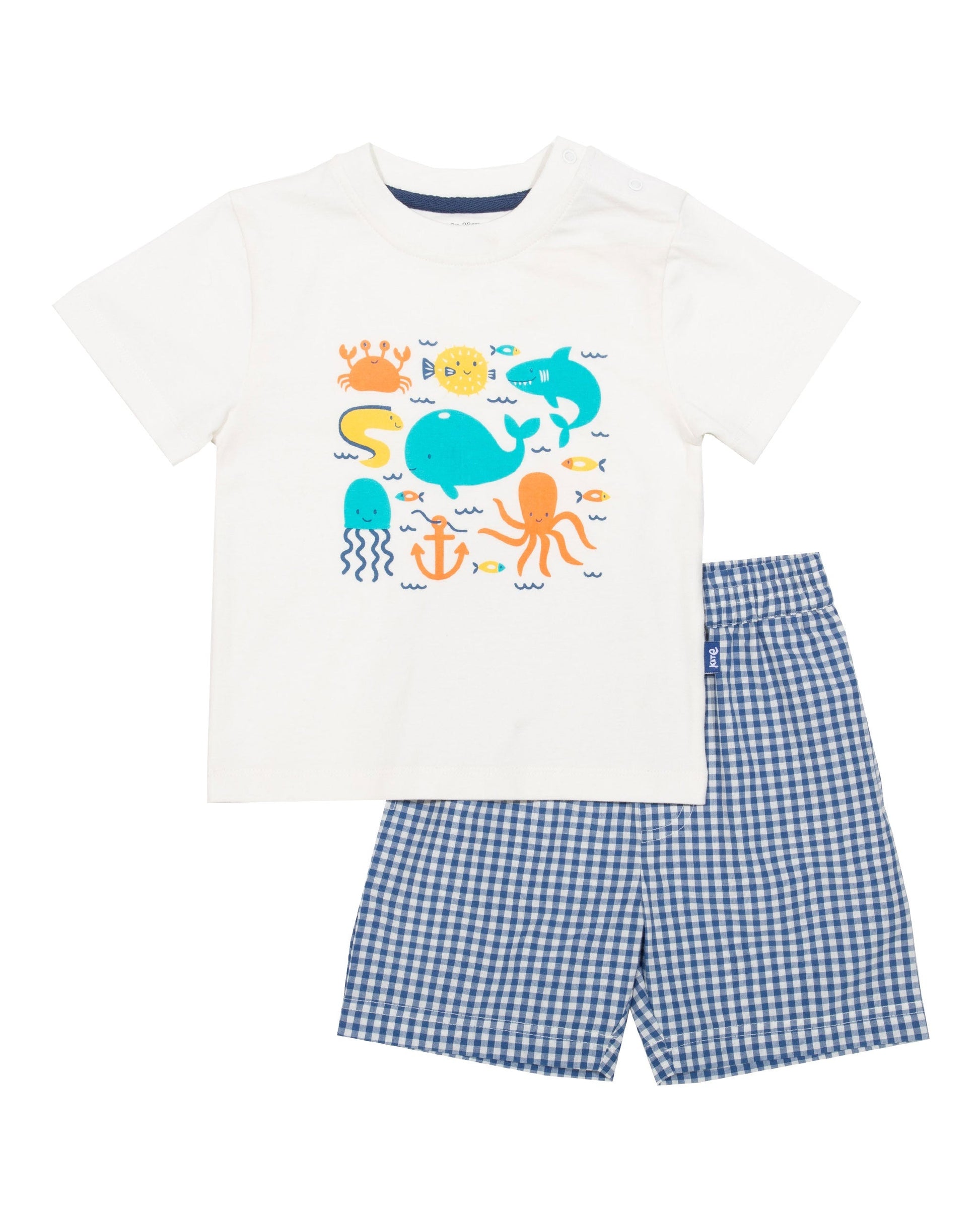 Conjunto Bajo el Mar de algodón orgánico, con polera de animales marinos y short a cuadros azul marino y crema.