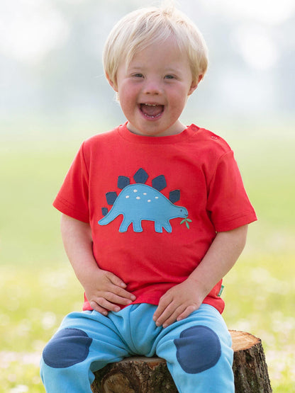 Niño usando polera roja con aplique de dinosaurio azul, combinada con pantalón celeste.